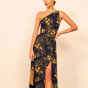 Reformation Evelyn Dress in Secret Garden